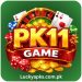 PK11 Game