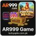 AR 999 Game