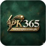 PK 365 Game